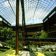 The lush atrium at John Deere Headquarters in Moline, Illinois, allows employs to pass through nature as they circulate through the building.