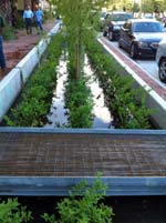 Bagby Street, Houston, Texas: On average, rain gardens remove 93% of the oil and grease on average from the roadway drainage system.