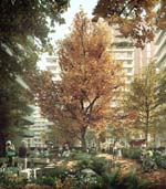 Ebury Bridge Estate regeneration project, Westminster, London