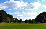 The Long Meadow at Prospect Park in Brooklyn