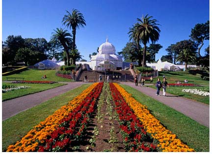 The Conservatory of Flowers in full bloom